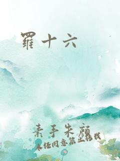 罗十六