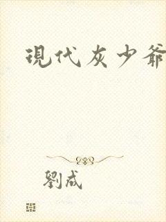 现代灰少爷