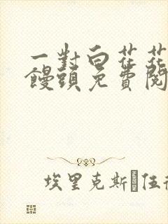 一对白花花的大馒头免费阅读