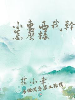 小东西我干的你怎么样