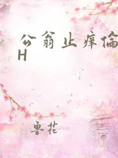 公翁止痒伦理DH