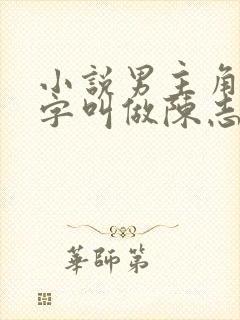 小说男主角的名字叫做陈志远