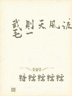 武则天风流艳情毛一