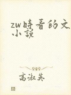 zw时看的文案小说