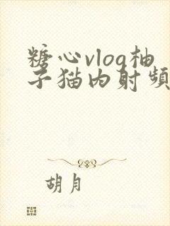 糖心vlog柚子猫内射频