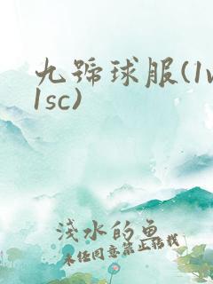 九号球服(1v1sc)