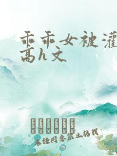 乖乖女被灌满精高h文