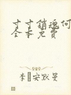 寸寸销魂何生祥全本免费