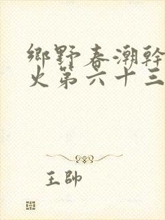 乡野春潮干柴烈火第六十三章