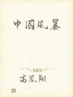 中国风暴