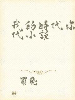 我的时代你的时代小说