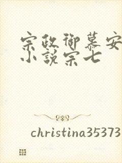 宗政御慕安安的小说宗七