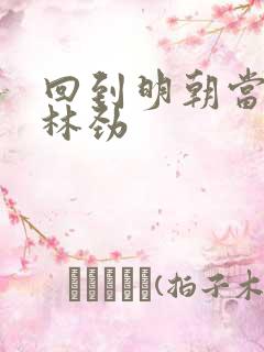 回到明朝当王爷林劲