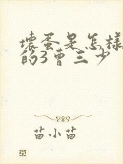 坏蛋是怎样炼成的3曹三少