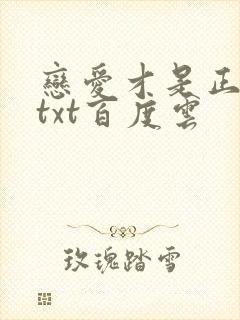 恋爱才是正经事txt百度云