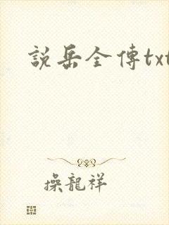 说岳全传txt