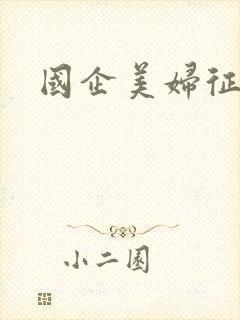 国企美妇征途