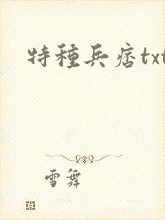 特种兵痞txt