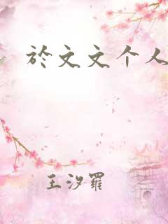 于文文个人简历