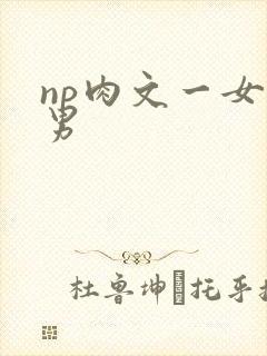 np肉文一女多男