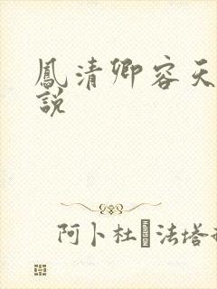 凤清卿容天凌小说
