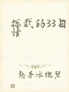 总裁的33日索情