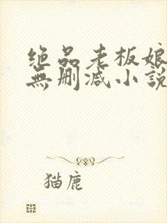 绝品老板娘完整无删减小说