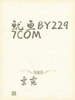 鱿鱼BY2297COM