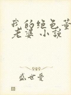 我的绝色董事长老婆 小说