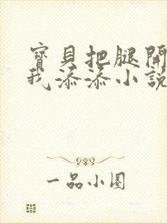 宝贝把腿开大让我添添小说