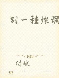 别一种灿烂生活