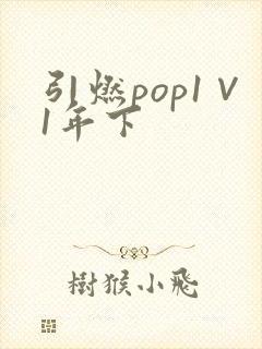 引燃pop1∨1年下
