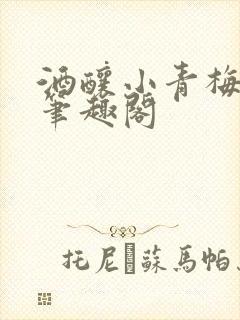 酒酿小青梅po笔趣阁
