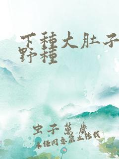 下种大肚子怀孕野种