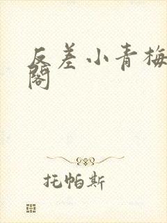 反差小青梅笔趣阁