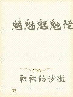 魑魅魍魉徒为尔