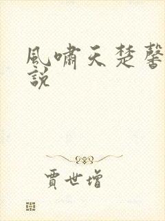 风啸天楚馨月小说
