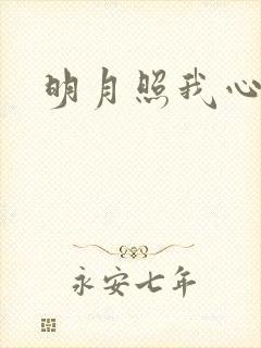 明月照我心小说