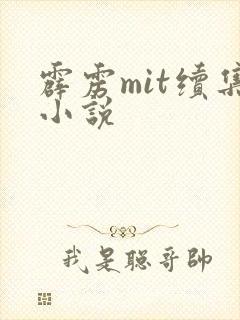 霹雳mit续集小说