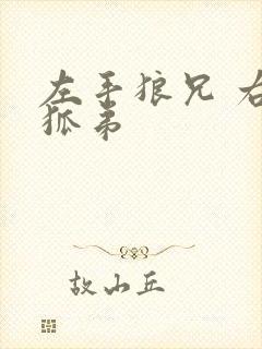 左手狼兄 右手狐弟