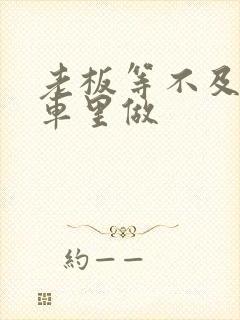 老板等不及了在车里做