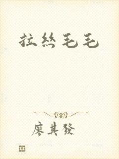 拉丝毛毛