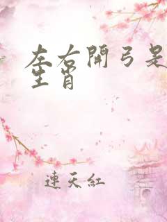 左右开弓是什么生肖