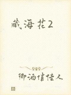 藏海花2