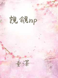 觊觎np