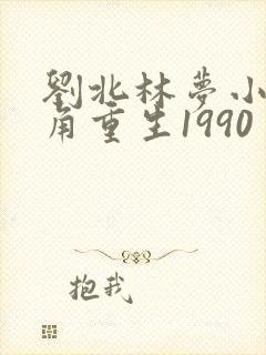 刘北林梦小说主角重生1990