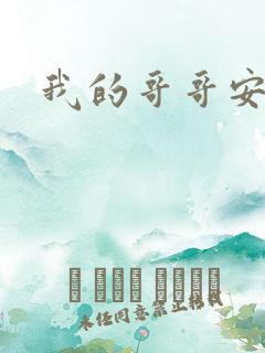 我的哥哥安小天