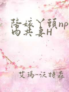 陪嫁丫头np全肉共妻H