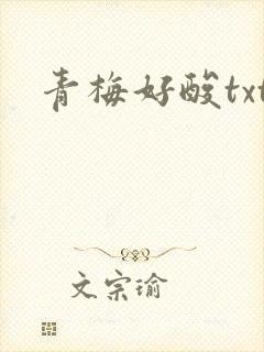 青梅好酸txt