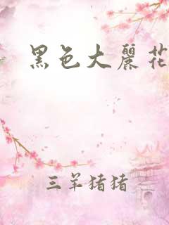 黑色大丽花图片